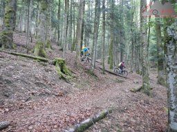 dav_vogesen_kruth_2023_010