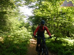 dav_vogesen_kruth_2023_031