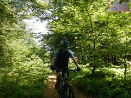 dav_vogesen_kruth_2023_033