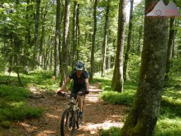 dav_vogesen_kruth_2023_057