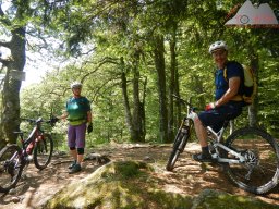 dav_vogesen_kruth_2023_061