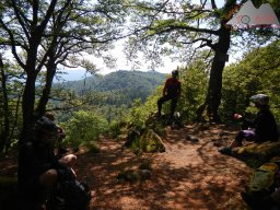 dav_vogesen_kruth_2023_065