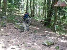 dav_vogesen_kruth_2023_075