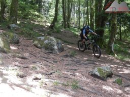 dav_vogesen_kruth_2023_089