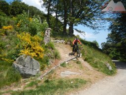 dav_vogesen_kruth_2023_123