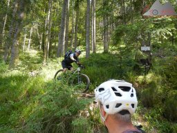 dav_vogesen_kruth_2023_124