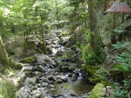 dav_vogesen_kruth_2023_129