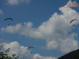 dav_vogesen_kruth_2023_147