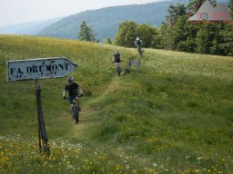 dav_vogesen_kruth_2023_167