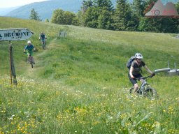 dav_vogesen_kruth_2023_169