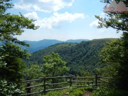 dav_vogesen_kruth_2023_173