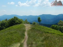 dav_vogesen_kruth_2023_174