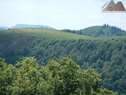 dav_vogesen_kruth_2023_179