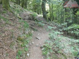 dav_vogesen_kruth_2023_186