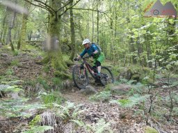 dav_vogesen_kruth_2023_190