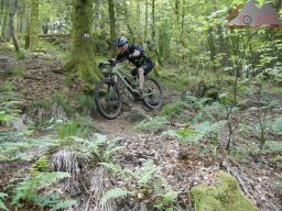 dav_vogesen_kruth_2023_195