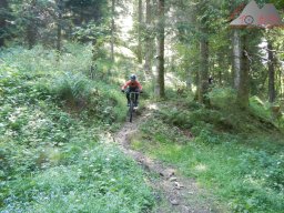 dav_vogesen_kruth_2023_204