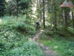 dav_vogesen_kruth_2023_209