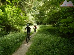 dav_vogesen_kruth_2023_218