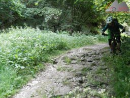 dav_vogesen_kruth_2023_222