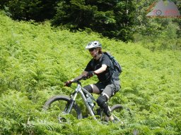 dav_vogesen_kruth_2023_256