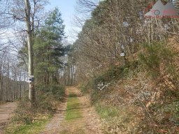 ostern_2024_pfalz_004