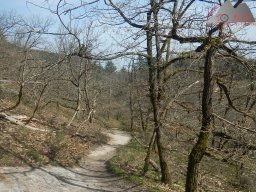 ostern_2024_pfalz_027