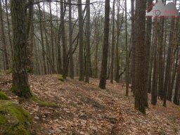 ostern_2024_pfalz_114