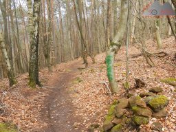 ostern_2024_pfalz_160