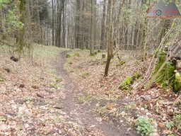 ostern_2024_pfalz_164