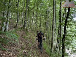 2025-05-24-2025-05-25_dav_vogesen_058