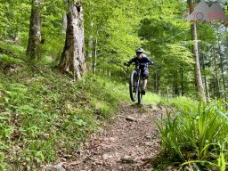 2025-05-24-2025-05-25_dav_vogesen_076