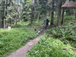 2025-05-24-2025-05-25_dav_vogesen_138