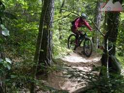 2025-05-24-2025-05-25_dav_vogesen_244