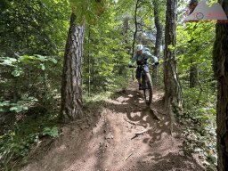 2025-05-24-2025-05-25_dav_vogesen_252