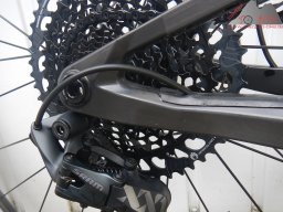 stoll_t2_2022-07-26_08