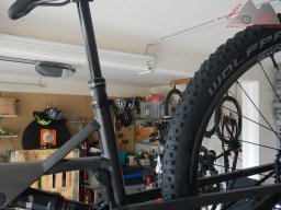 stoll_t2_2022-07-26_39