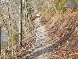 2020-04-03_donauversickerung_02