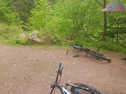 2020-05-22_loeffingen_schluchsee_loeffingen_01