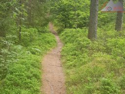 2020-05-22_loeffingen_schluchsee_loeffingen_03