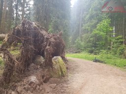 2020-05-22_loeffingen_schluchsee_loeffingen_06