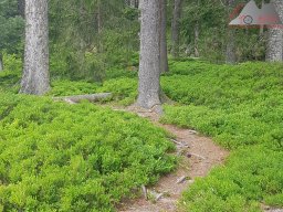 2020-05-22_loeffingen_schluchsee_loeffingen_07