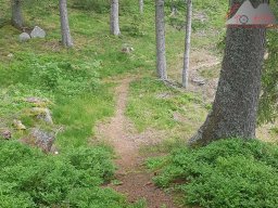 2020-05-22_loeffingen_schluchsee_loeffingen_08