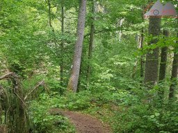 2020-05-22_loeffingen_schluchsee_loeffingen_23