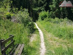 2020-06-02_sipplinger_berg_bodanrueck_01