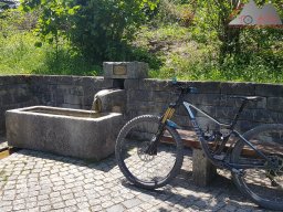 2020-06-02_sipplinger_berg_bodanrueck_02