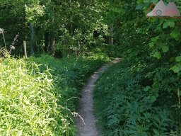 2020-06-02_sipplinger_berg_bodanrueck_04