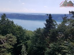 2020-06-02_sipplinger_berg_bodanrueck_07