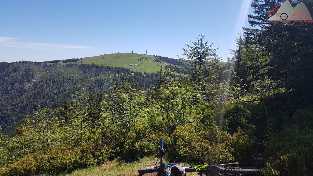 Gipfeltrail Hochschwarzwald - 12.06.2020