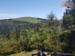 2020-06-12_gipfeltrail_hochschwarzwald_03